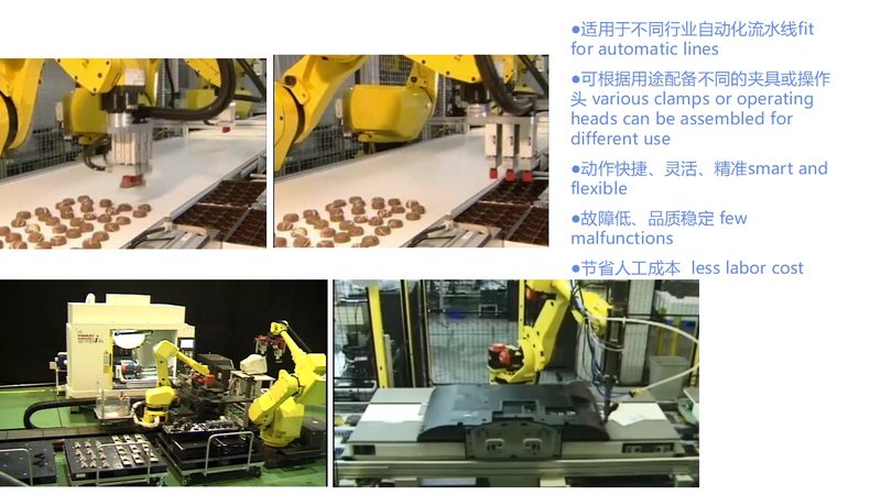 食品外观视觉检测设备：标准规范解读与选型要点